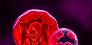 Sangre de murciélagos: viaje a Marte